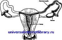 ������ - �������� ������� �����