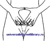 ������ - �������� ������� �����