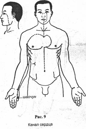 ���� - �������� ��������������� ����������