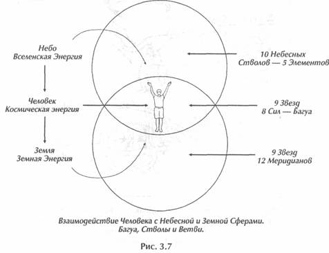 ������ - ��������� �������� Ii. �������� ����������