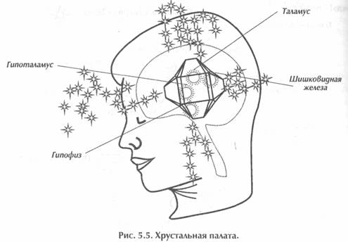 ������ - ��������� �������� Ii. �������� ����������