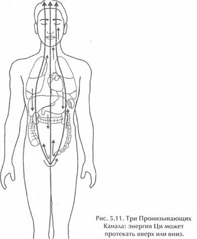 ������ - ��������� �������� Ii. �������� ����������