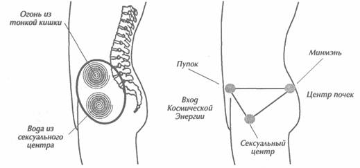 ������ - ��������� �������� Ii. �������� ����������