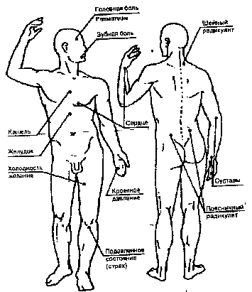 Востоков - Индо-Тибетская Школа Омоложения