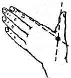 Востоков - Индо-Тибетская Школа Омоложения