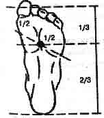 Востоков - Индо-Тибетская Школа Омоложения