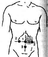 Востоков - Индо-Тибетская Школа Омоложения