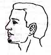 Востоков - Индо-Тибетская Школа Омоложения