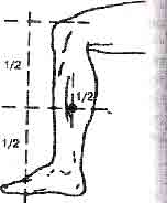 Востоков - Индо-Тибетская Школа Омоложения