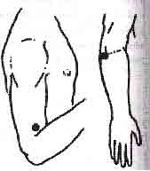 Востоков - Индо-Тибетская Школа Омоложения