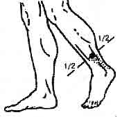 Востоков - Индо-Тибетская Школа Омоложения