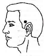 Востоков - Индо-Тибетская Школа Омоложения