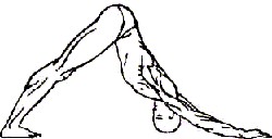 ������ - ��� �����������-������� ������ ��������� ���