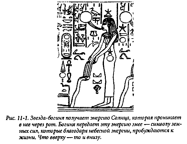 �����, ��������� � ������������