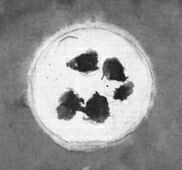 ������� - ������������ ����� �����. ������� ������� � ����