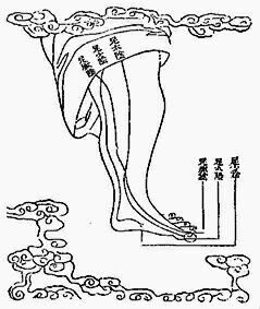 ������� - ������������ ����� �����. ������� ������� � ����