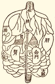 ������� - ������������ ����� �����. ������� ������� � ����