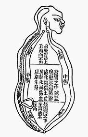 ������� - ������������ ����� �����. ������� ������� � ����