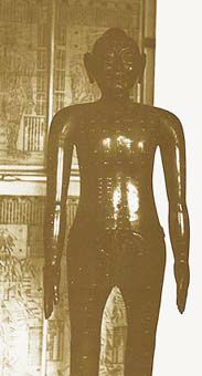 ������� - ������������ ����� �����. ������� ������� � ����