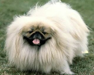 ������� - ������������ ����� �����. ������� ������� � ����