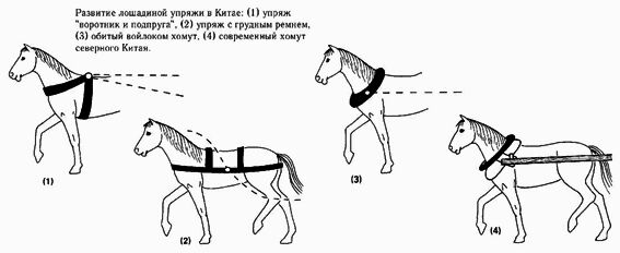 ������� - ������������ ����� �����. ������� ������� � ����