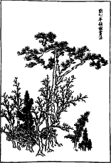 ��������� - �� ���-��