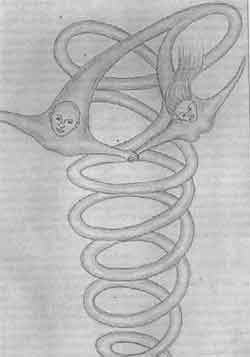 Мулдашев - От Кого Мы Произошли - Мир Сложнее, Чем Мы Думали