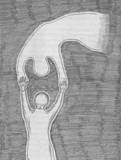 Мулдашев - От Кого Мы Произошли - Мир Сложнее, Чем Мы Думали