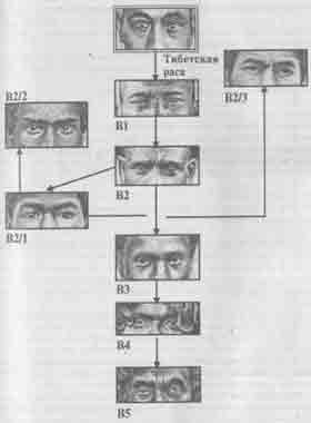 ���� �������� ������������ �� ������� ����