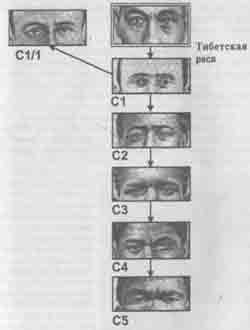 ���� �������� ������������ �� ������� ����