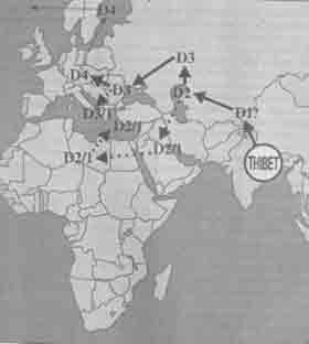 ���� �������� ������������ �� ������� ����