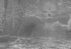 ��� ����� ���������� �� ��������� ������?