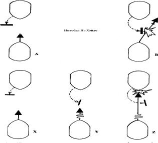 ������ - ���� � ����. ������� �������� ���������