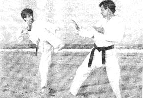 ������ - ���� � ����. ������� �������� ���������