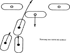 ������ - ���� � ����. ������� �������� ���������