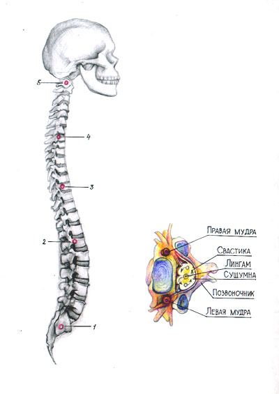 �������. ������ � ����� ����� ����������