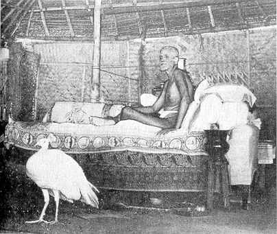 ����p�� - ����� � ����