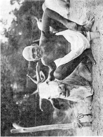 ����p�� - ����� � ����