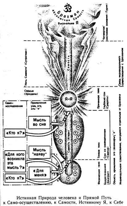 ������� - ����� ������ � ������ ���� � ����