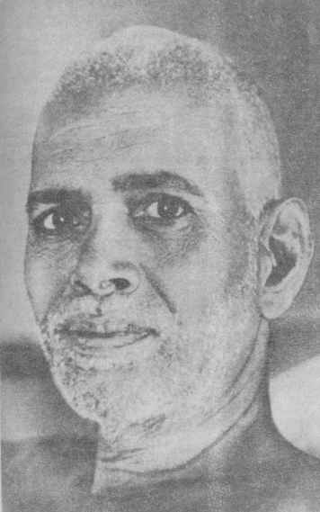 ������� - ����� ������ � ������ ���� � ����