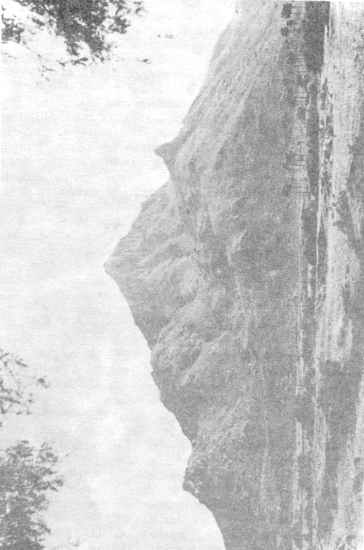 ������� - ����� ������ � ������ ���� � ����