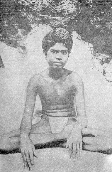 ������� - ����� ������ � ������ ���� � ����