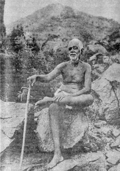 ������� - ����� ������ � ������ ���� � ����