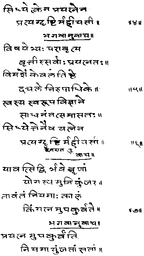 ���� - ����� ��� ������