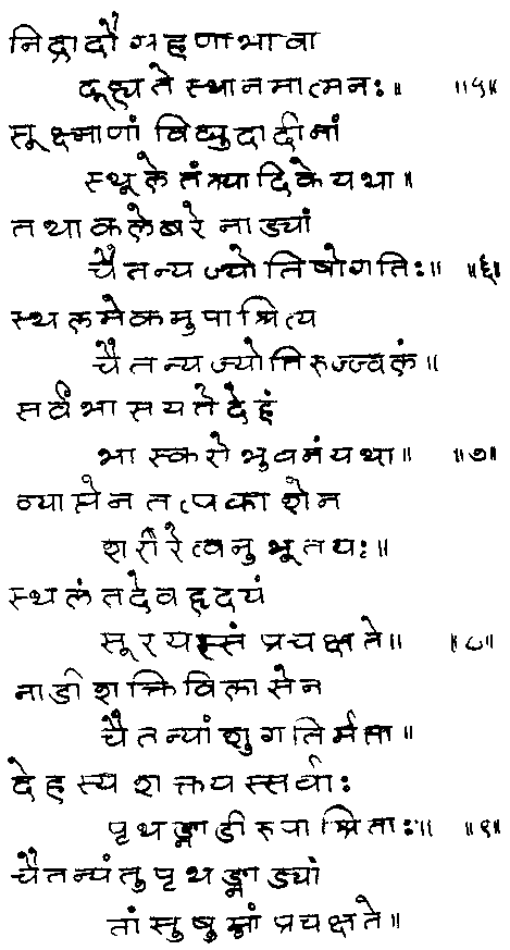 ���� - ����� ��� ������