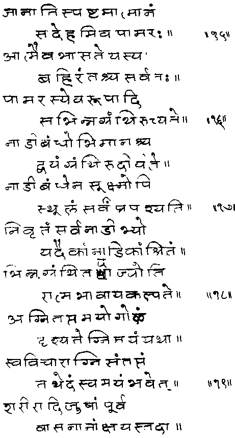 ���� - ����� ��� ������