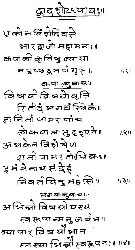 ���� - ����� ��� ������