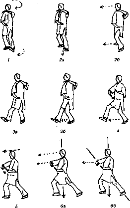 ������������ �������� ���-���