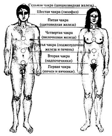 Райли - Секреты Тантры Для Мужчин