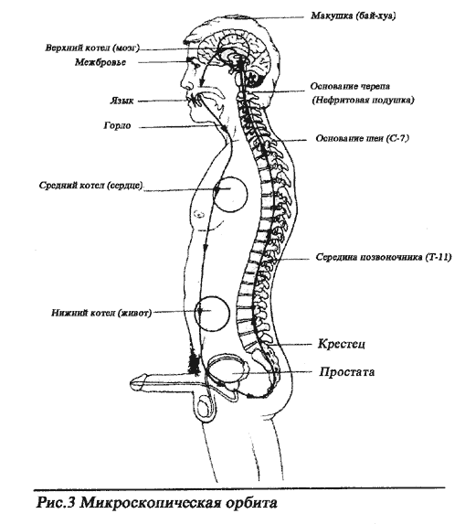 ����� ����������� ������. ������������ ����. �������� ���� �������